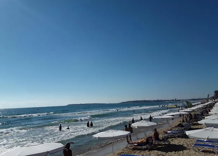 Chateau Del Mar C31a Sunny * Slantschew brjag