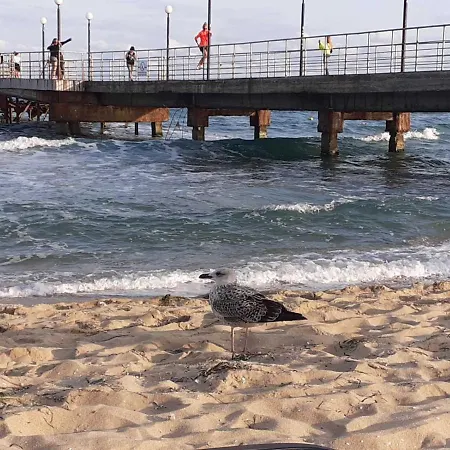 Chateau Del Mar C31a Sunny Appartamento *