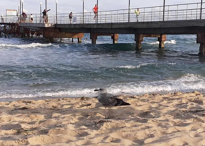 Chateau Del Mar C31a Sunny Appartamento *